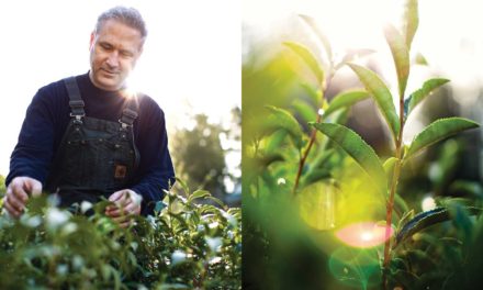 A HISTORIC MOMENT FOR TEA TRADITION IN CANADA